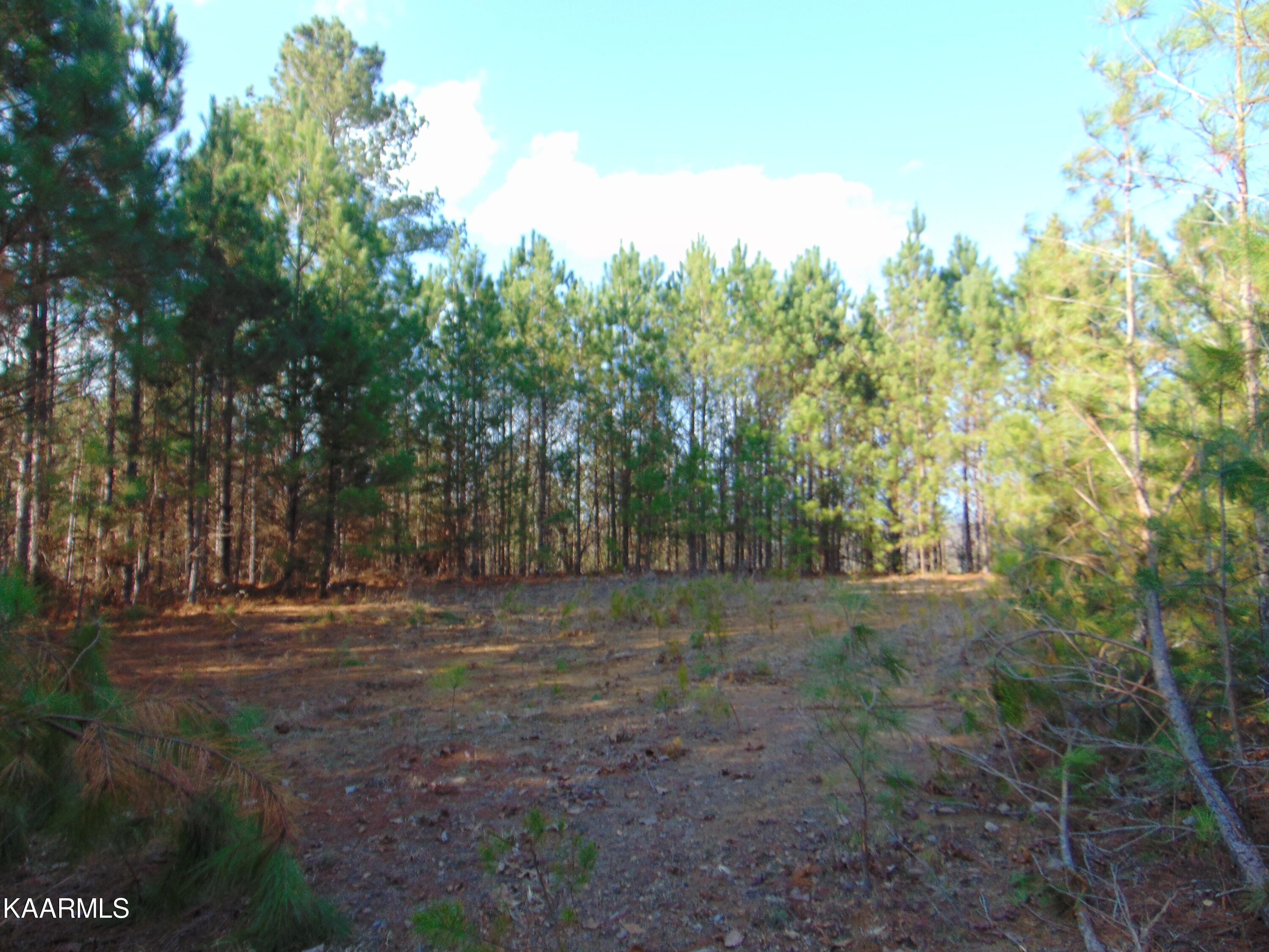 7.38-acres Lamontville Road Decatur, TN 37322 - Photo 32 of 60 DSC02009