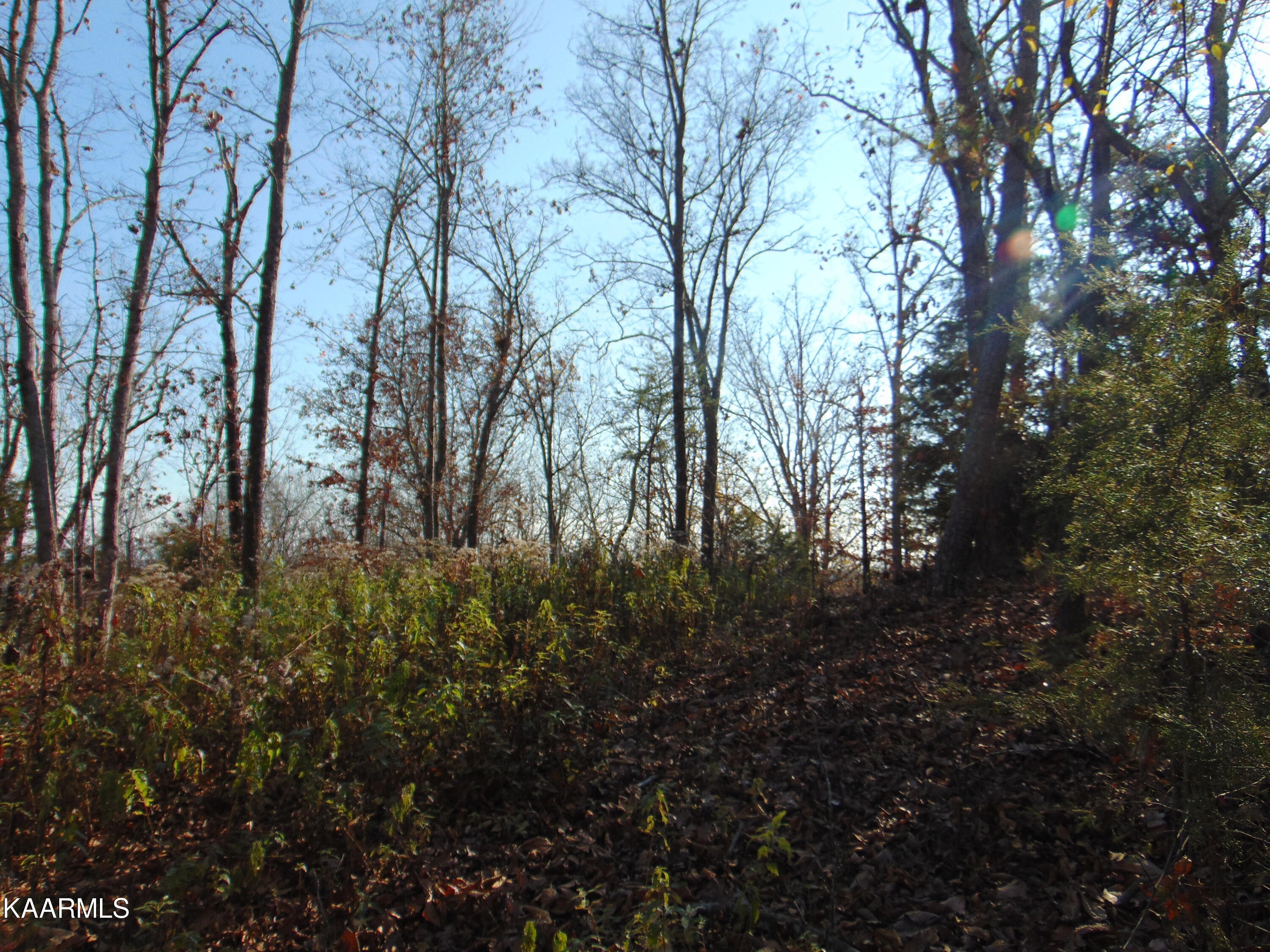 7.38-acres Lamontville Road Decatur, TN 37322 - Photo 38 of 60 DSC02003