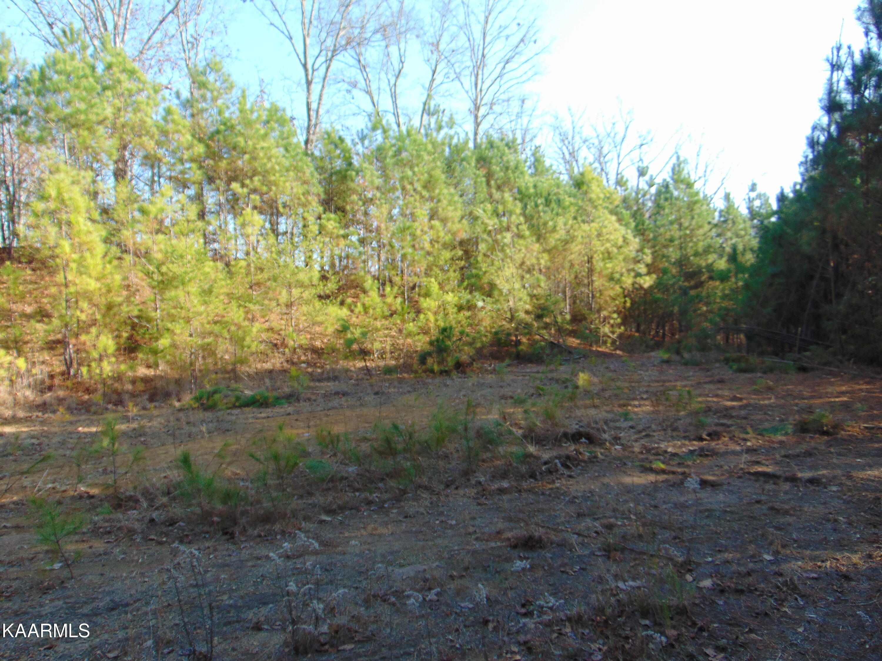 7.38-acres Lamontville Road Decatur, TN 37322 - Photo 42 of 60 DSC01999