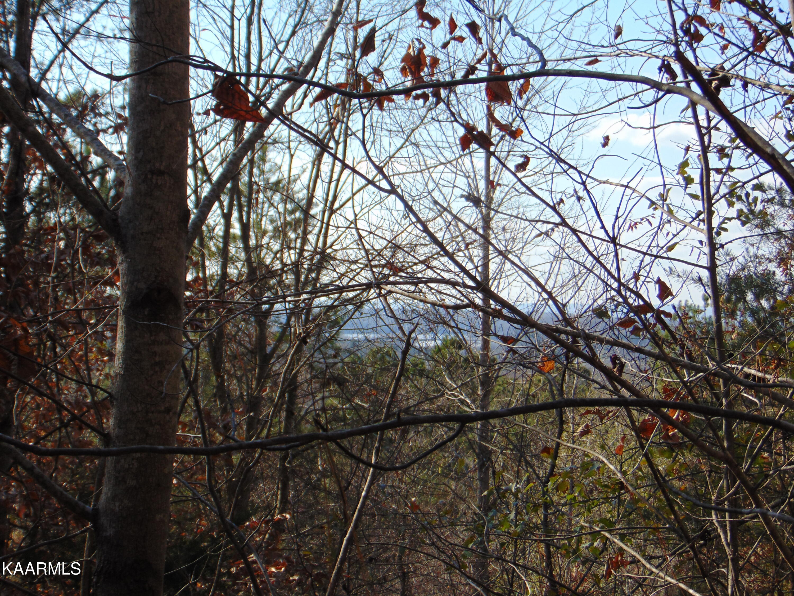 7.38-acres Lamontville Road Decatur, TN 37322 - Photo 47 of 60 DSC01994