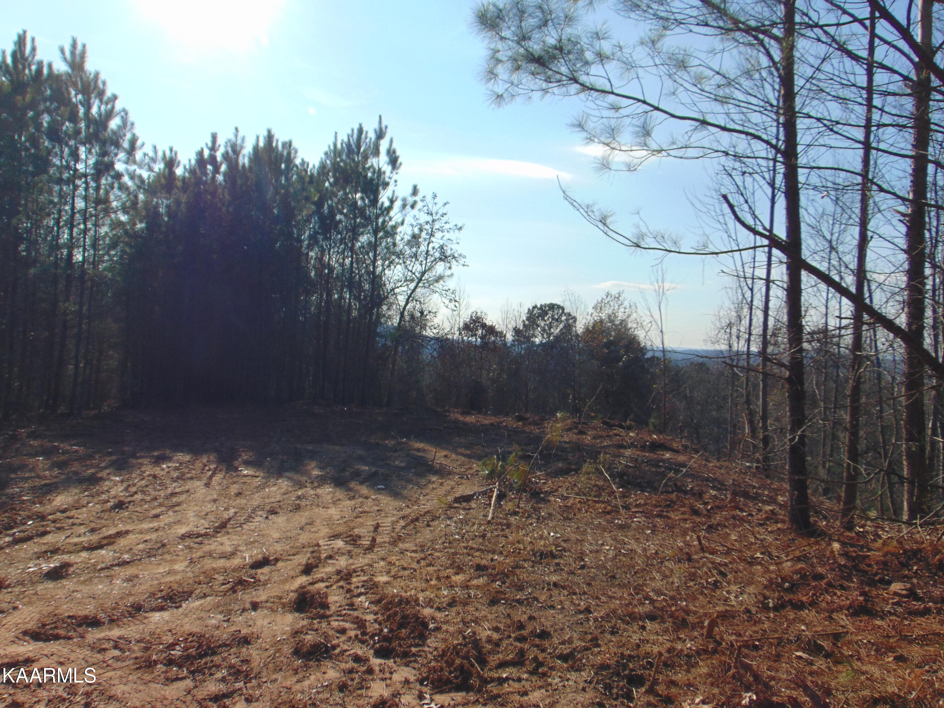 7.38-acres Lamontville Road Decatur, TN 37322 - Photo 48 of 60 DSC01993