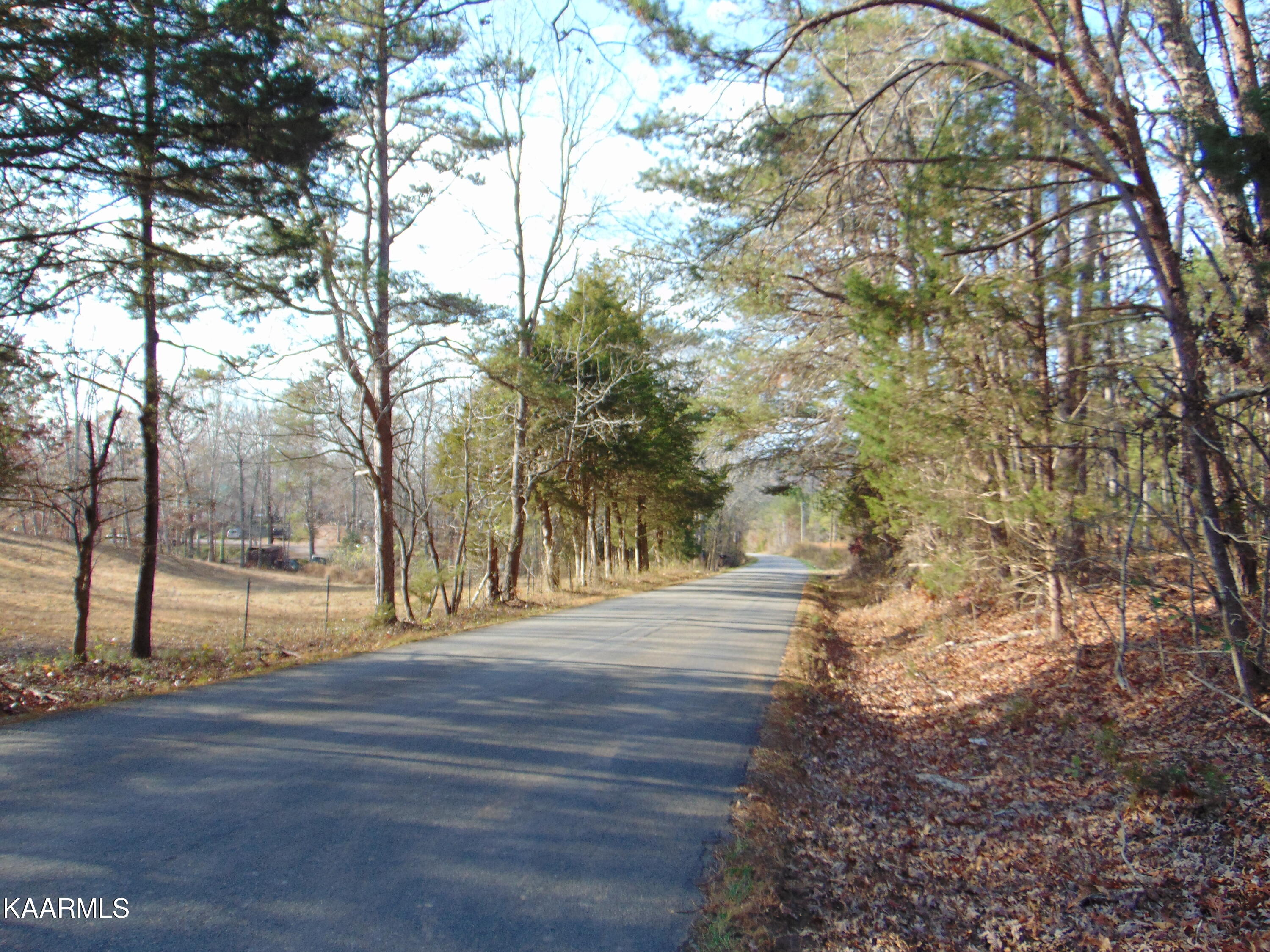 7.38-acres Lamontville Road Decatur, TN 37322 - Photo 5 of 60 DSC02037