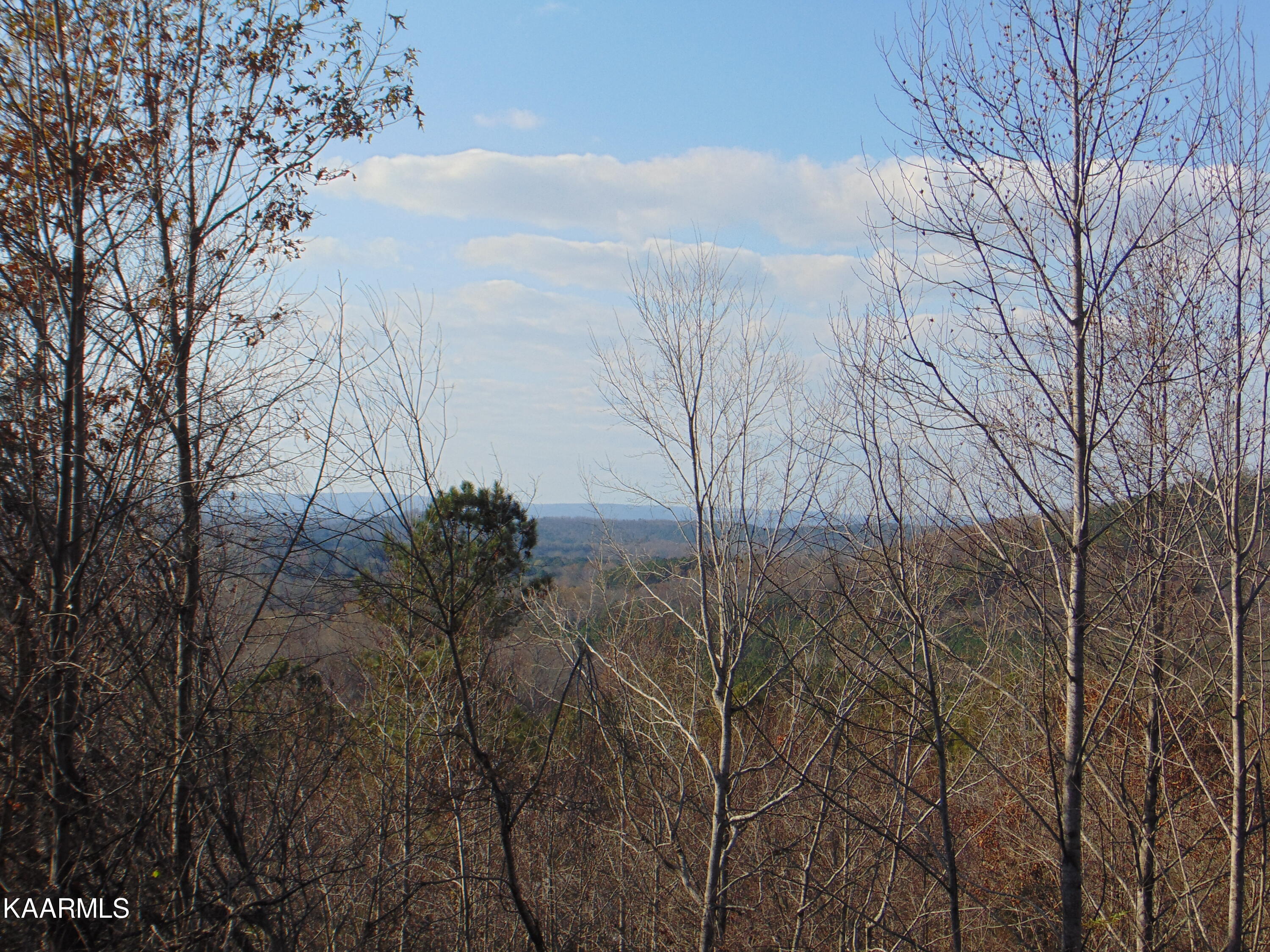 7.38-acres Lamontville Road Decatur, TN 37322 - Photo 51 of 60 DSC01990