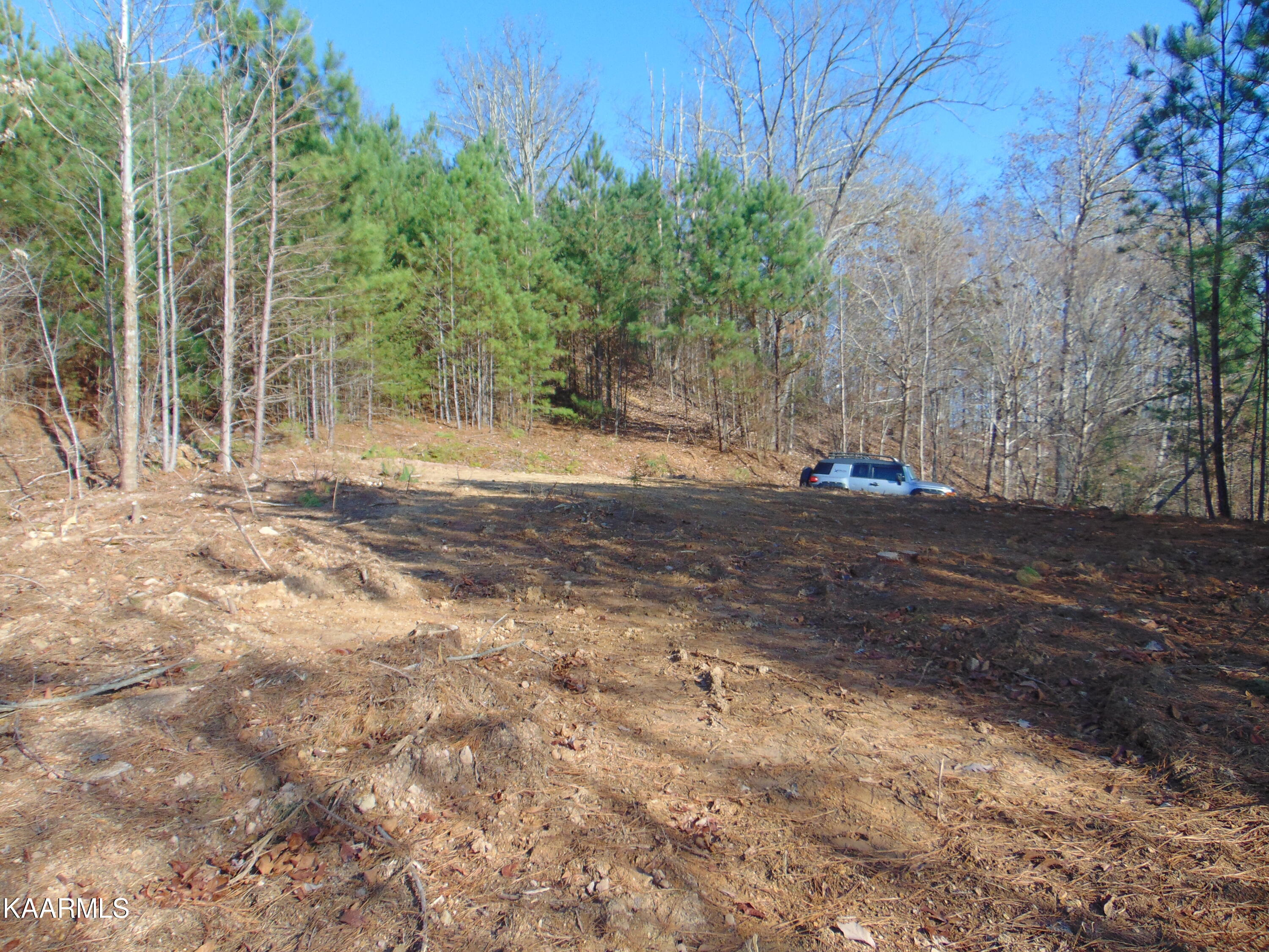 7.38-acres Lamontville Road Decatur, TN 37322 - Photo 53 of 60 DSC01988