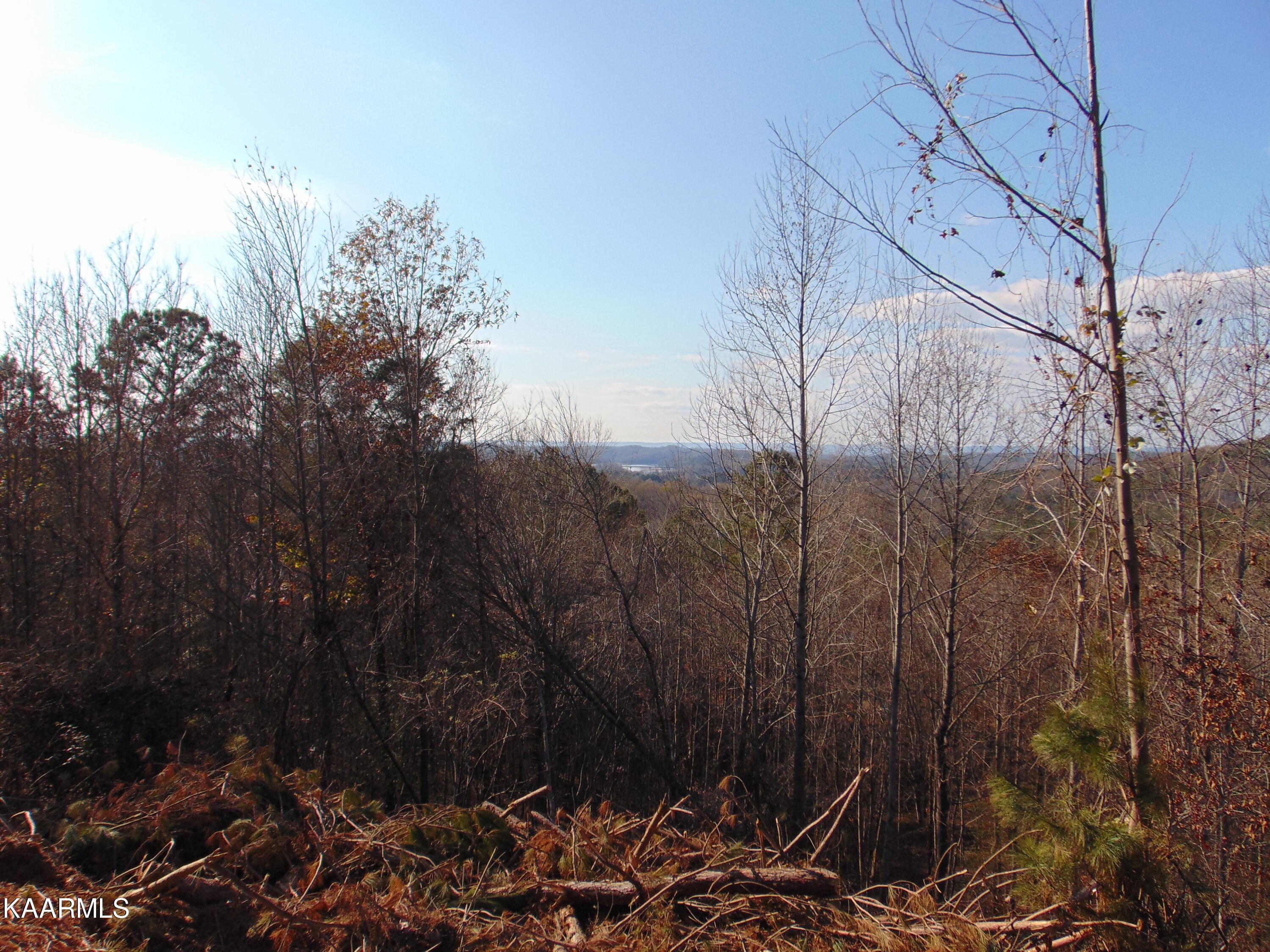 7.38-acres Lamontville Road Decatur, TN 37322 - Photo 54 of 60 DSC01987
