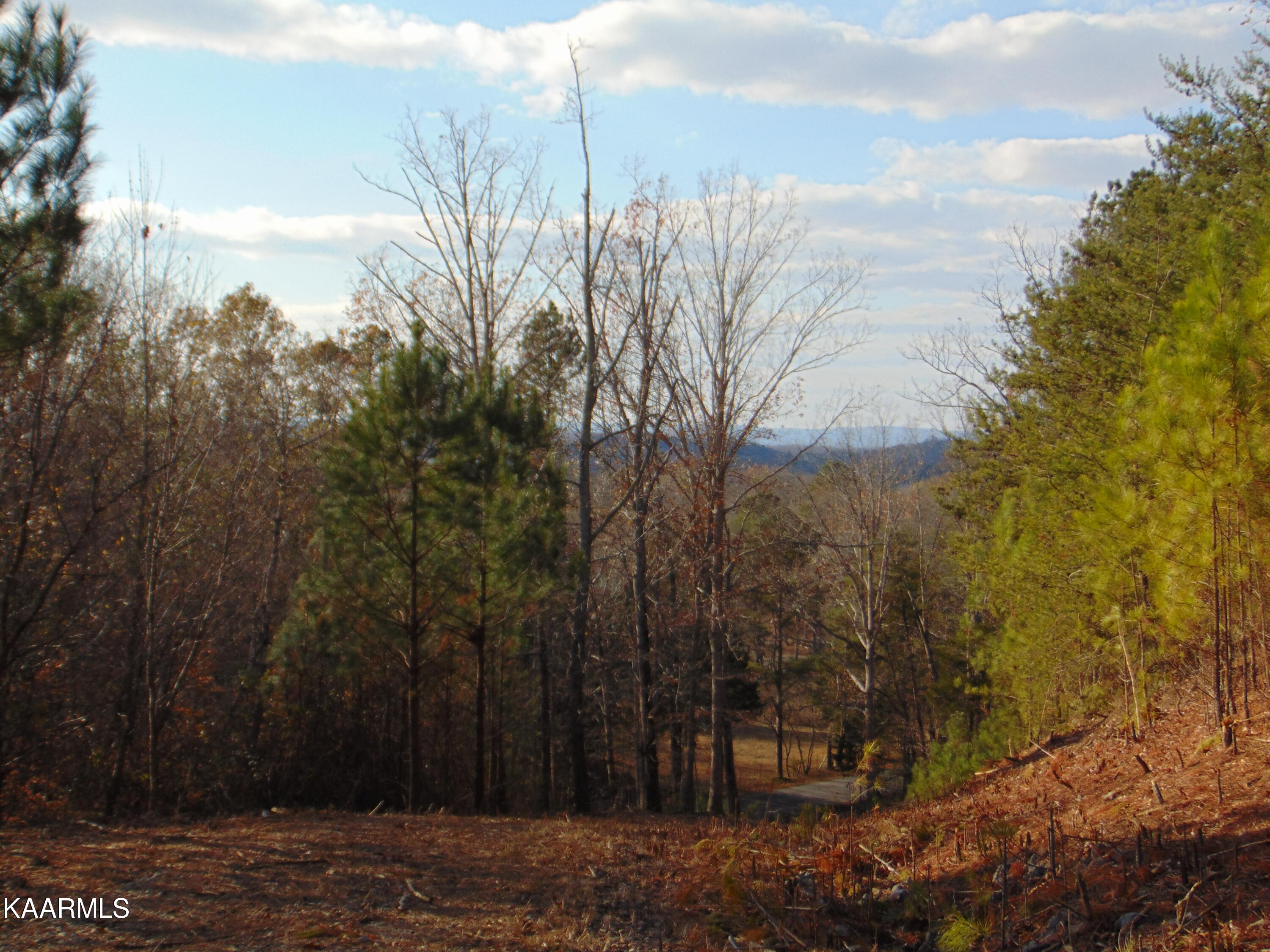 7.38-acres Lamontville Road Decatur, TN 37322 - Photo 6 of 60 DSC02036