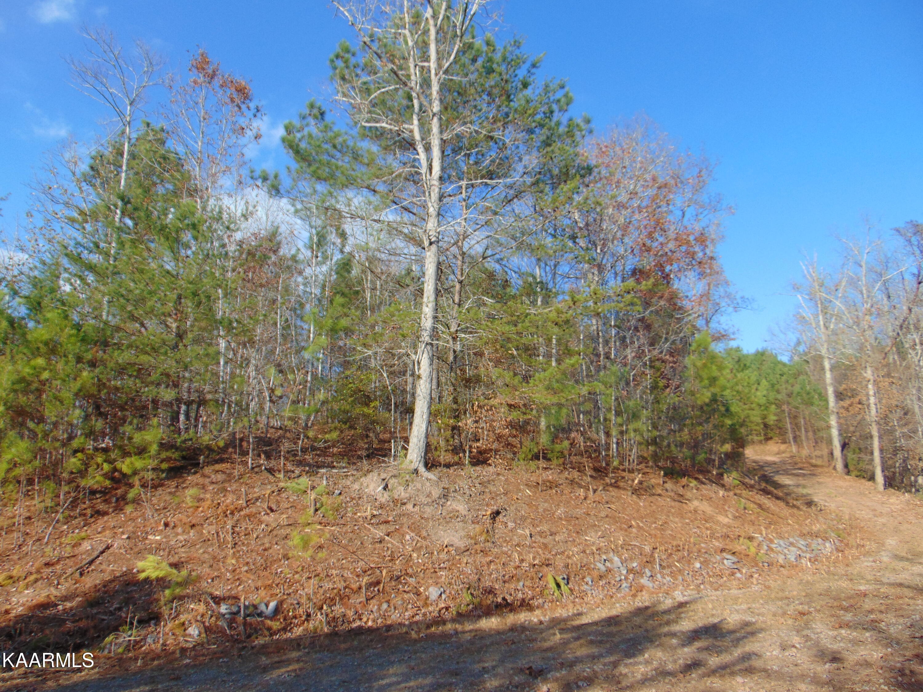 7.38-acres Lamontville Road Decatur, TN 37322 - Photo 8 of 60 DSC02034