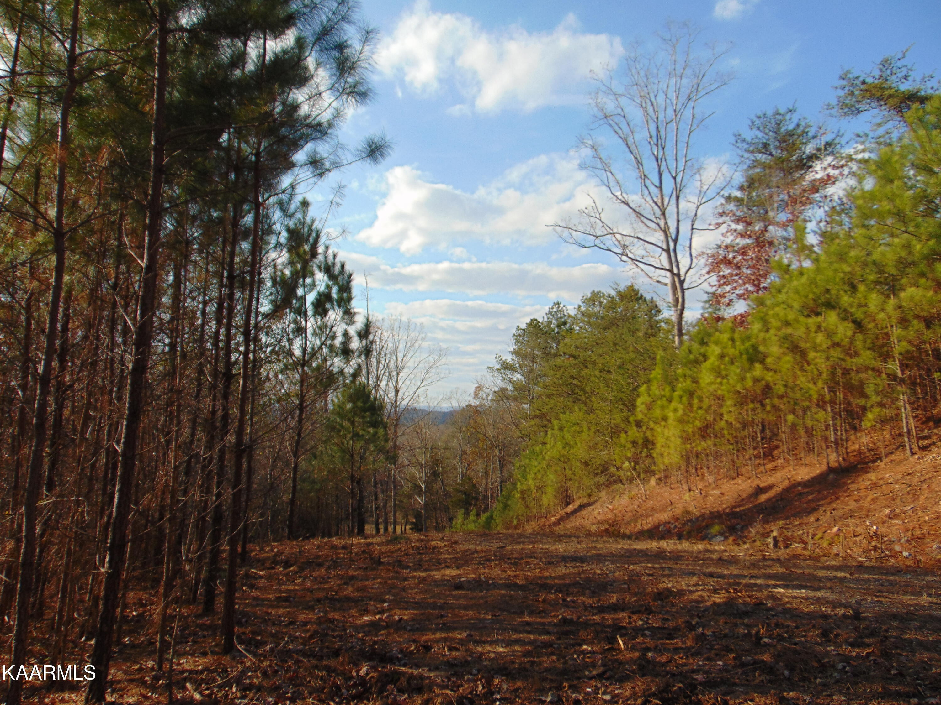 7.38-acres Lamontville Road Decatur, TN 37322 - Photo 9 of 60 DSC02033