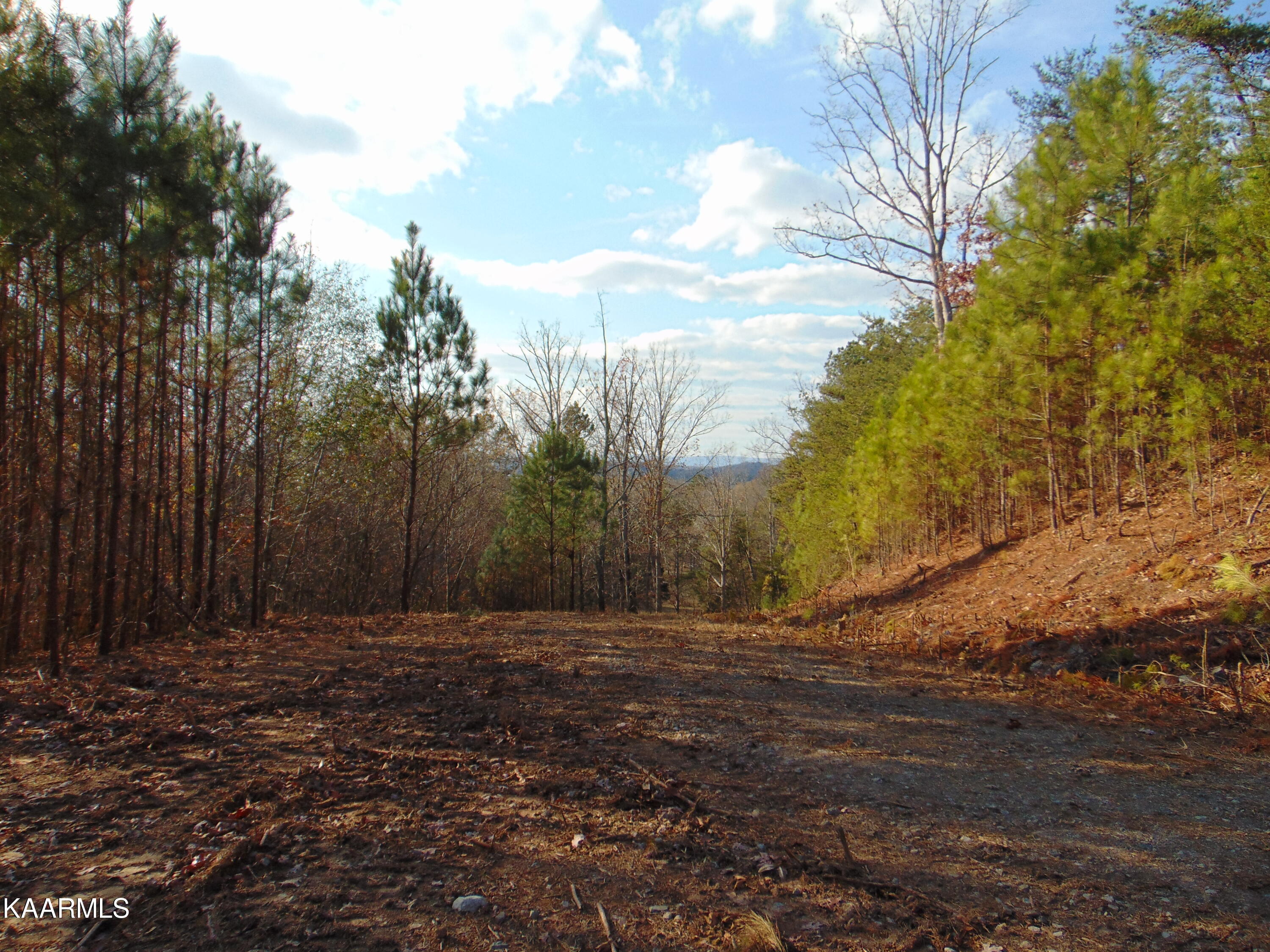 7.38-acres Lamontville Road Decatur, TN 37322 - Photo 10 of 60 DSC02032