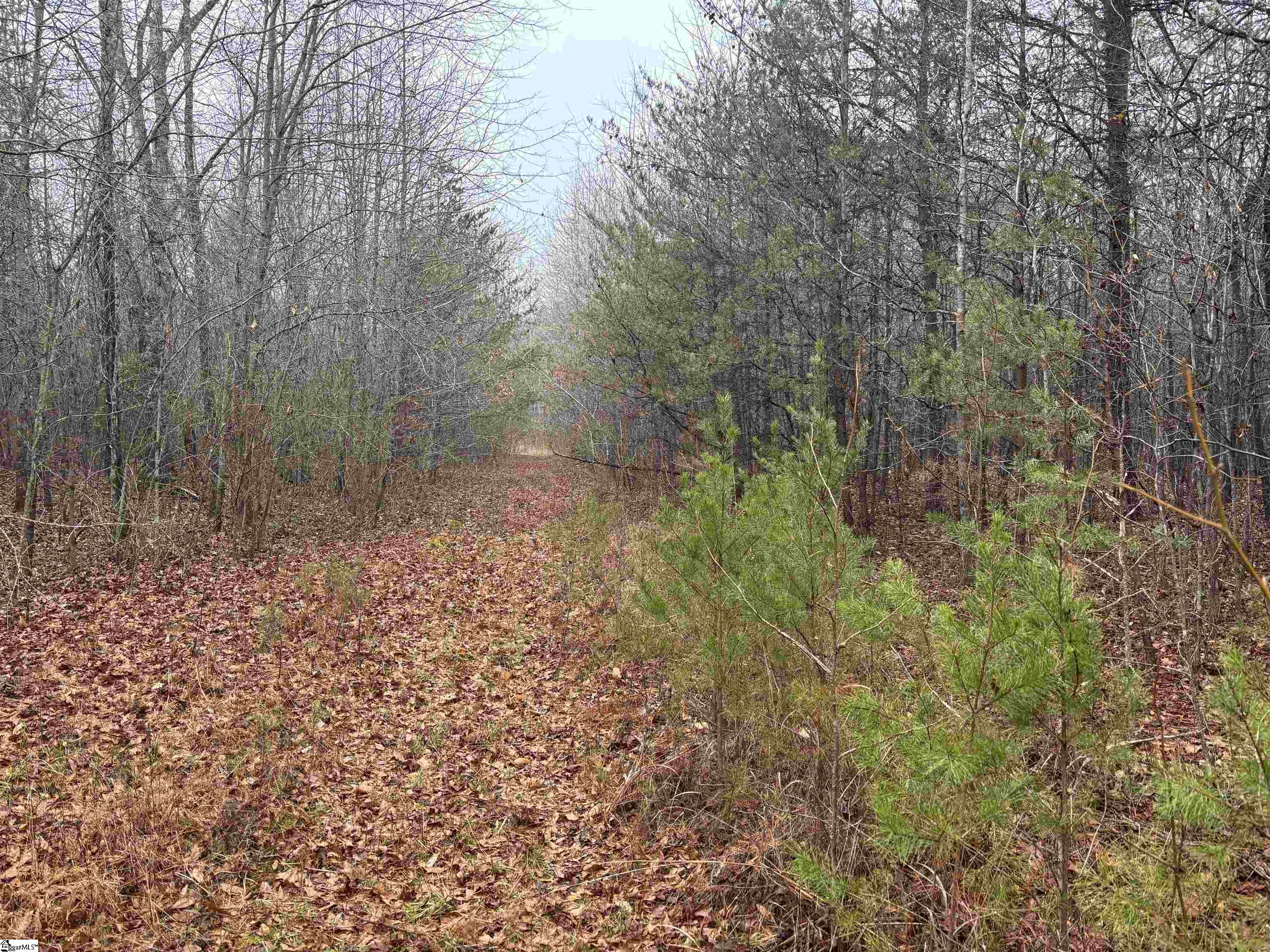 4024 Highway 414 Landrum, SC 29356 - Photo 1 of 4