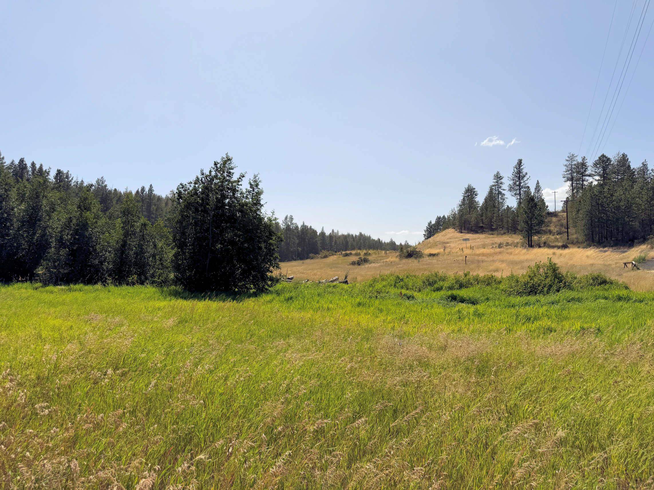 1 East Miles Creston Road Creston, WA 99117 - Photo 1 of 9 Gallery Image 1