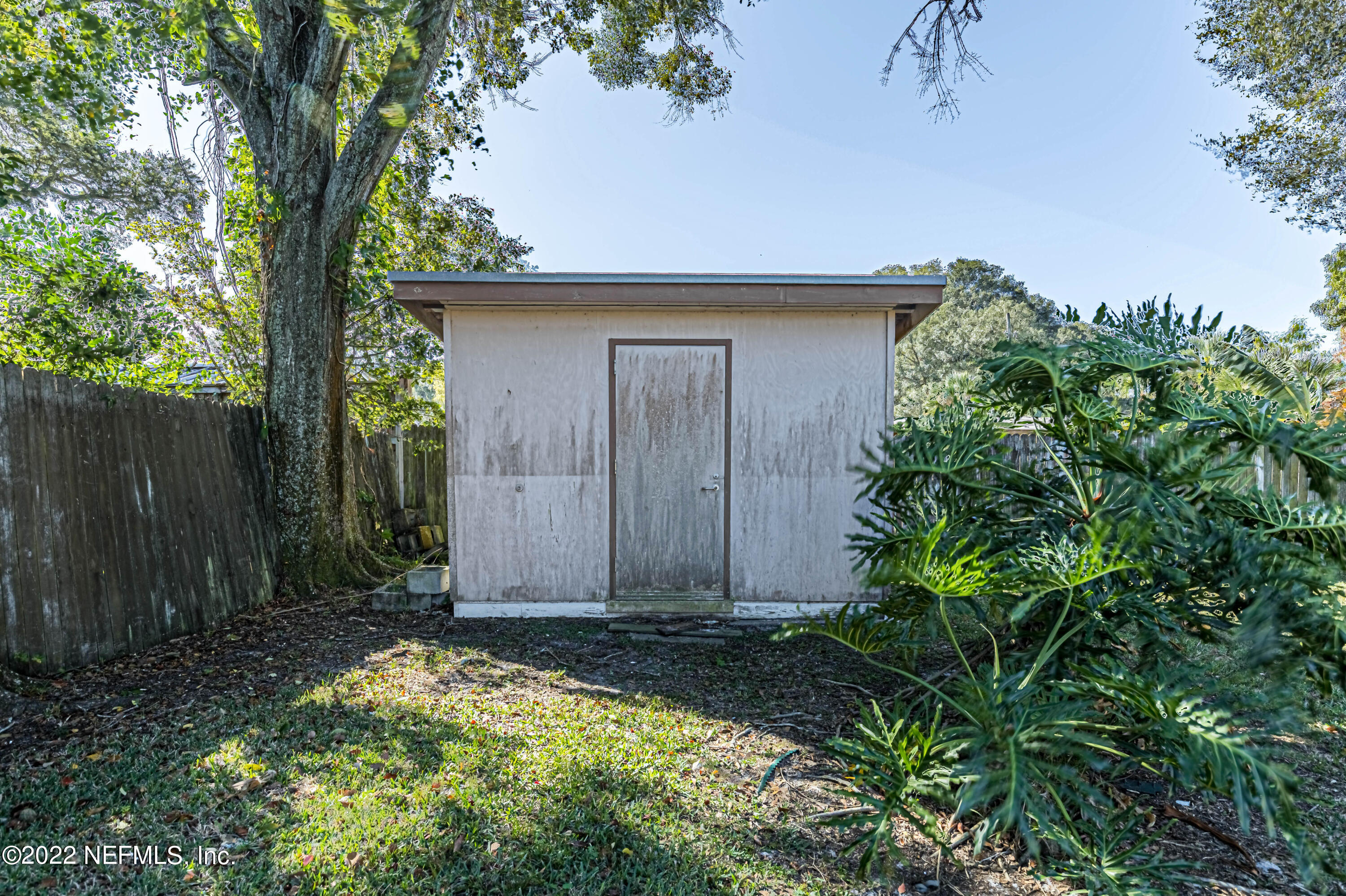7204 Old Kings Road South Jacksonville, FL 32217 - Photo 32 of 32 a view of backyard with potted plants and a large tree