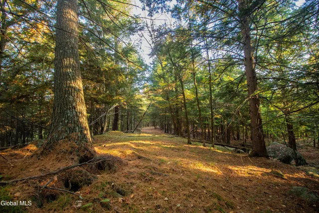 $450,000 | L28 State Route, North Creek, NY 12853