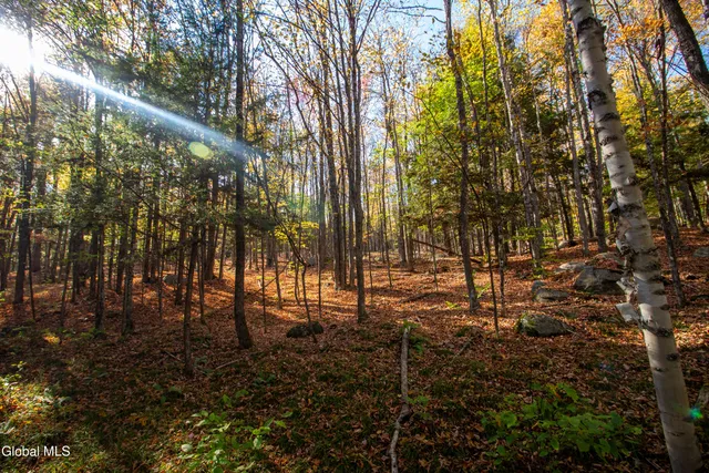 $450,000 | L28 State Route, North Creek, NY 12853