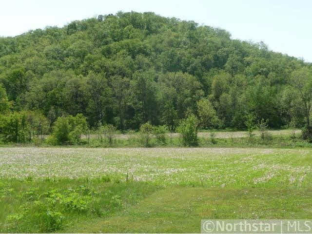 Xxx Eitzen Creek Road Caledonia, MN 55921 - Photo 2 of 18