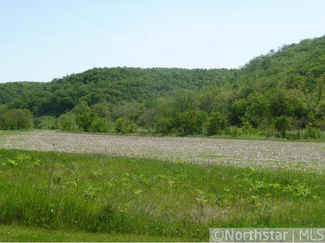 Xxx Eitzen Creek Road Caledonia, MN 55921 - Photo 7 of 18