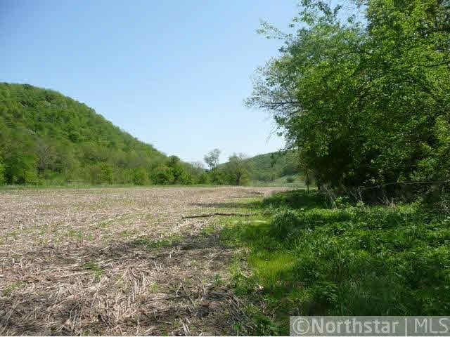 Xxx Eitzen Creek Road Caledonia, MN 55921 - Photo 8 of 18