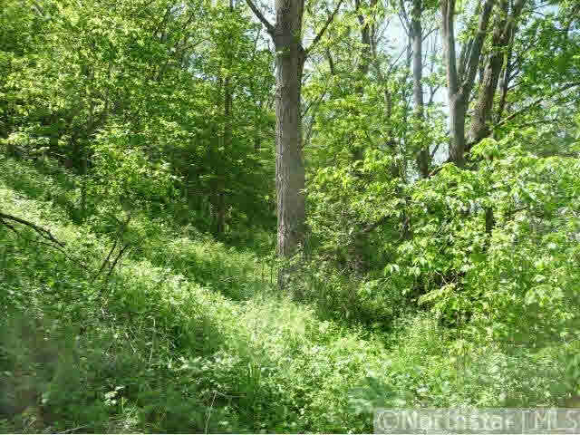 Xxx Eitzen Creek Road Caledonia, MN 55921 - Photo 9 of 18