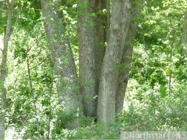Xxx Eitzen Creek Road Caledonia, MN 55921 - Photo 10 of 18