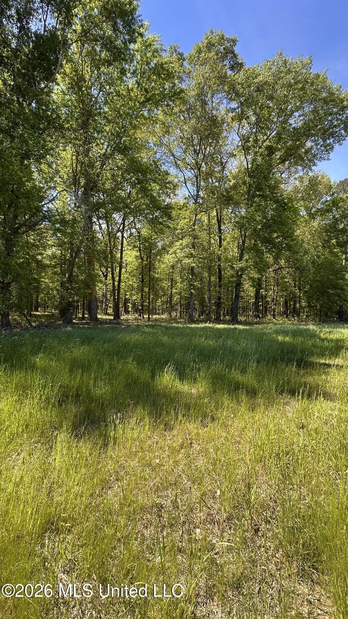 915 Hattie Wallace Road Lena, MS 39094 - Photo 30 of 46 2026-04-07 11.33.25