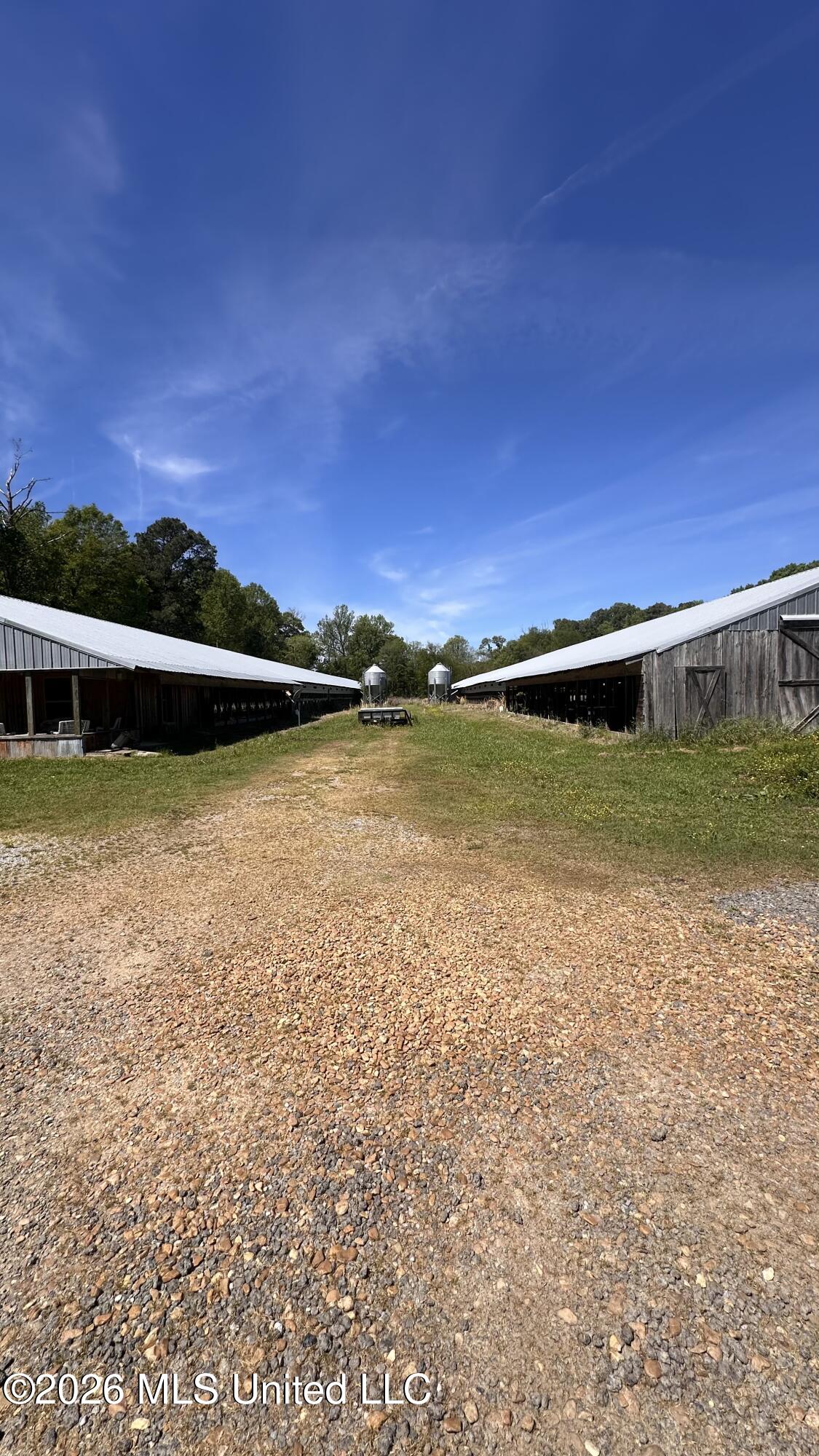 915 Hattie Wallace Road Lena, MS 39094 - Photo 41 of 46 2026-04-07 11.54.27