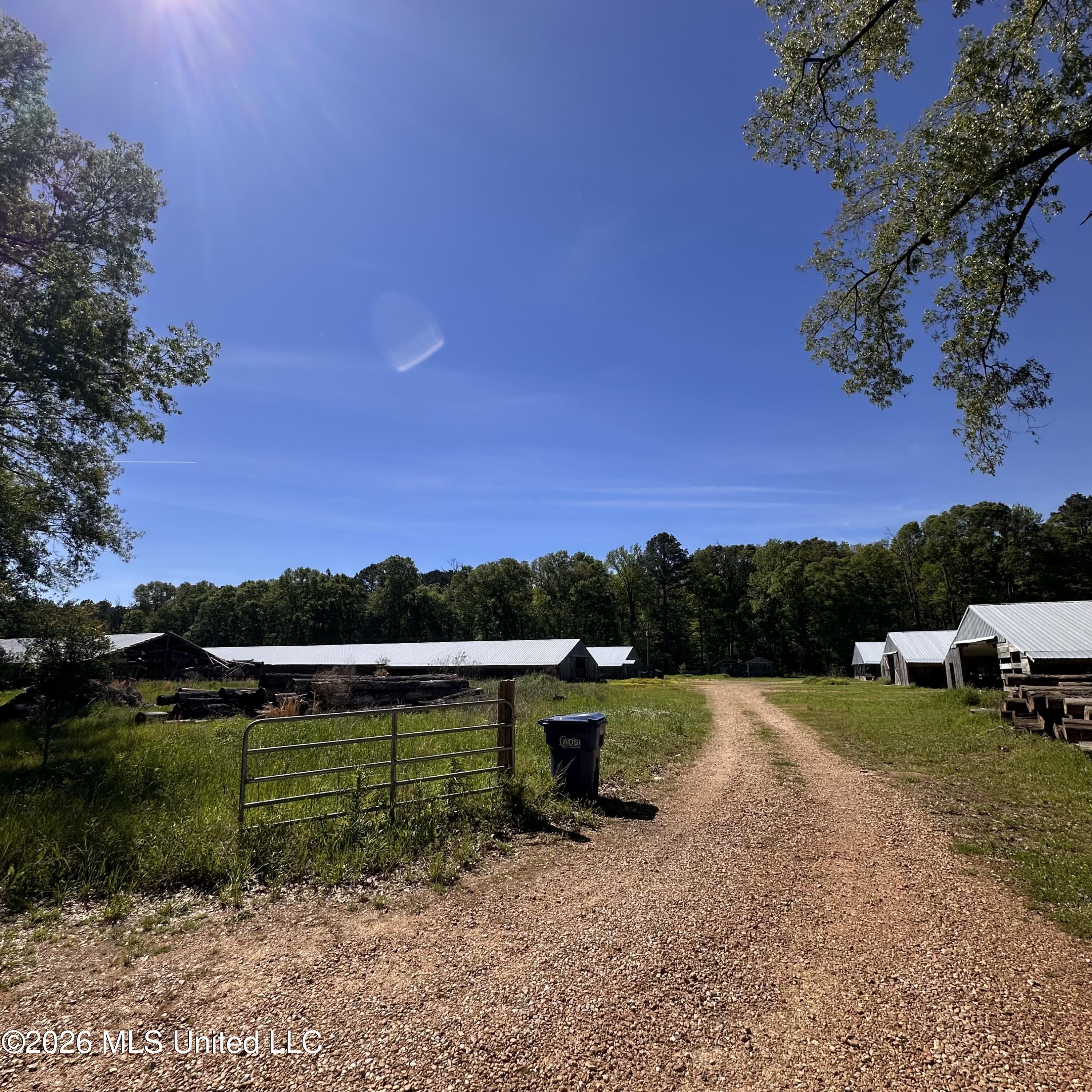 915 Hattie Wallace Road Lena, MS 39094 - Photo 46 of 46 2026-04-07 10.56.08