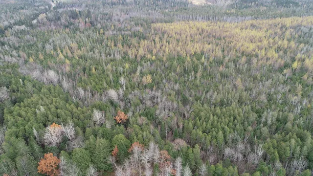 $66,900 | Lot 18 U.S. Rte 2, Newport, ME 04953