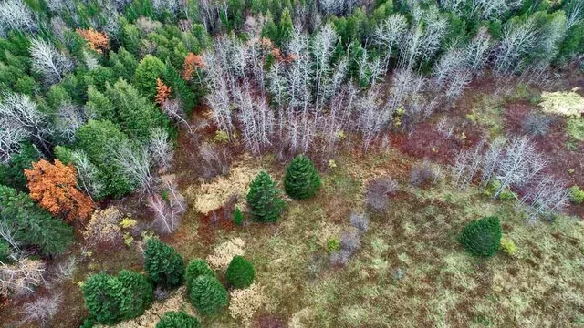 $66,900 | Lot 18 U.S. Rte 2, Newport, ME 04953