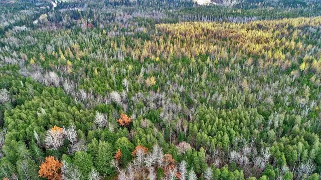 $66,900 | Lot 18 U.S. Rte 2, Newport, ME 04953