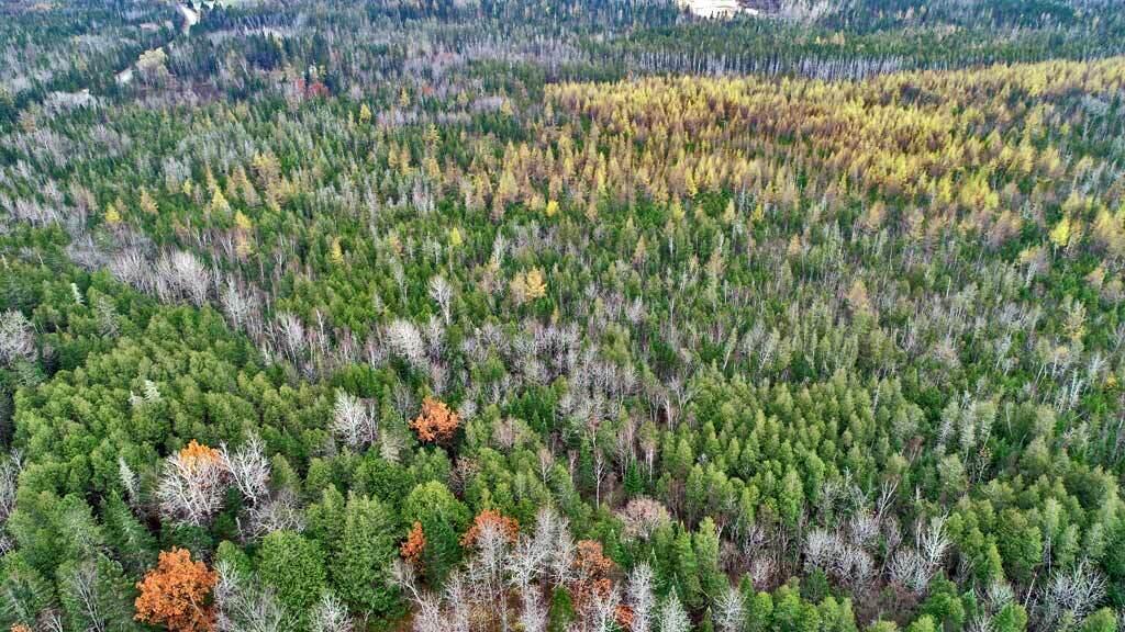 Lot 18 U.S. Rte 2 Newport, ME 04953 - Photo 13 of 62 maine-woodland-sherman-dron