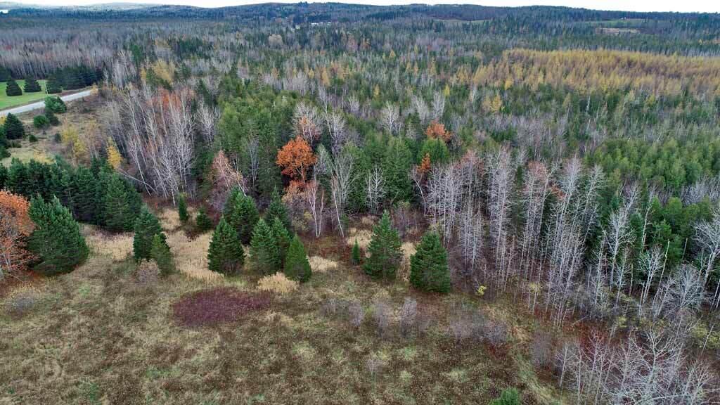 Lot 18 U.S. Rte 2 Newport, ME 04953 - Photo 15 of 62 woodlot-farm-land-maine