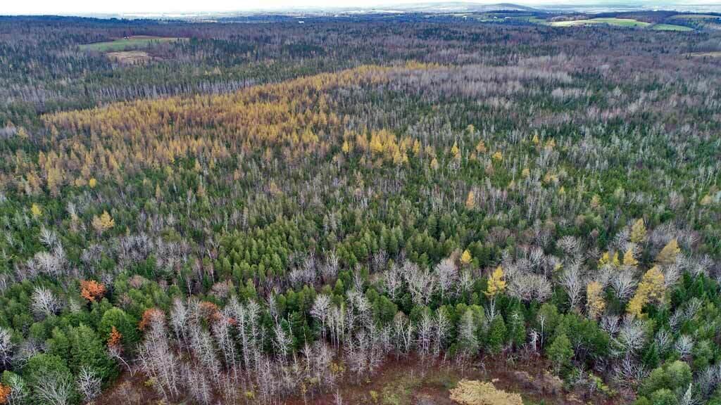 Lot 18 U.S. Rte 2 Newport, ME 04953 - Photo 16 of 62 aerial-me-land-farm-woods