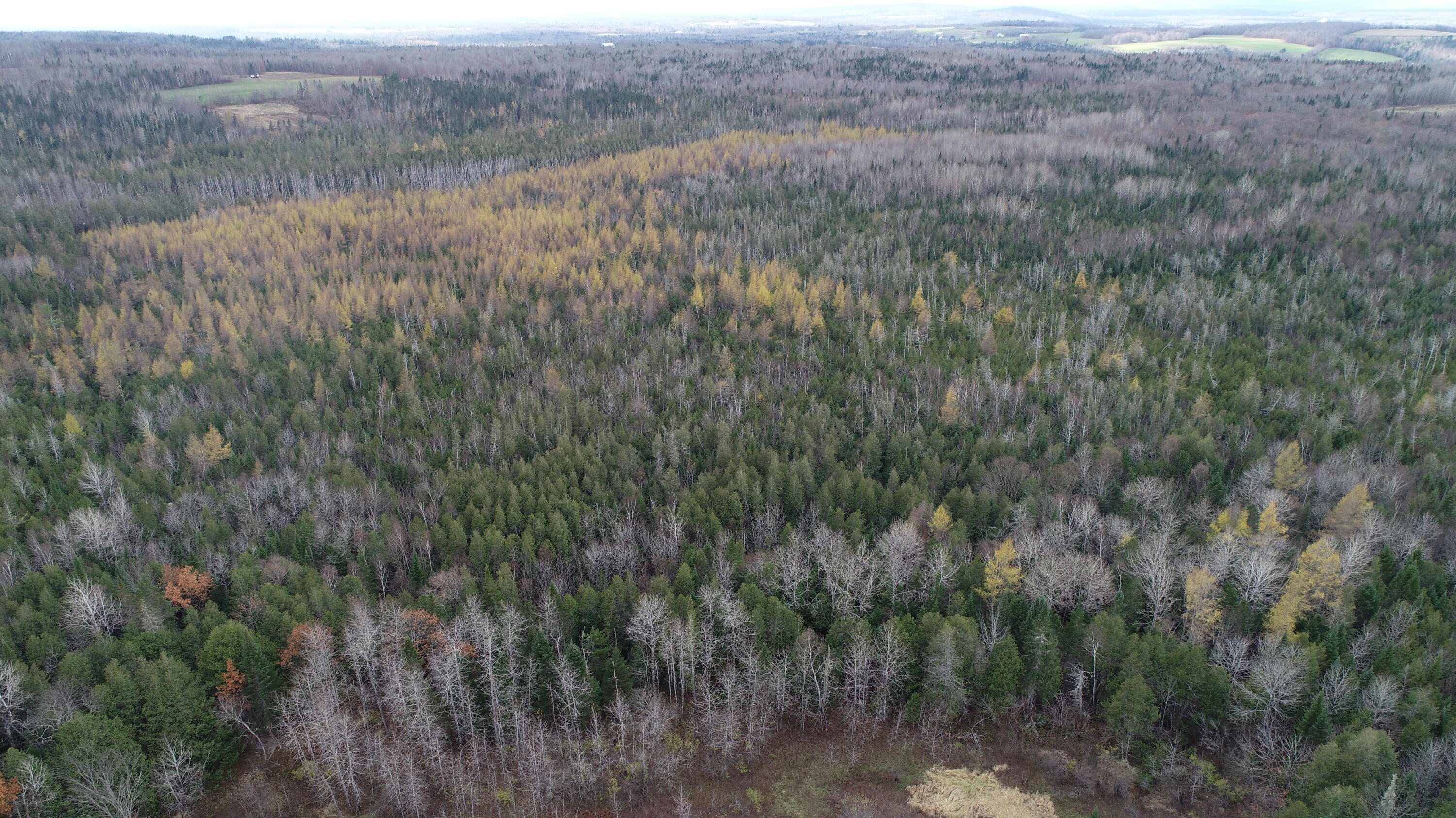 Lot 18 U.S. Rte 2 Newport, ME 04953 - Photo 17 of 62 DJI_0578