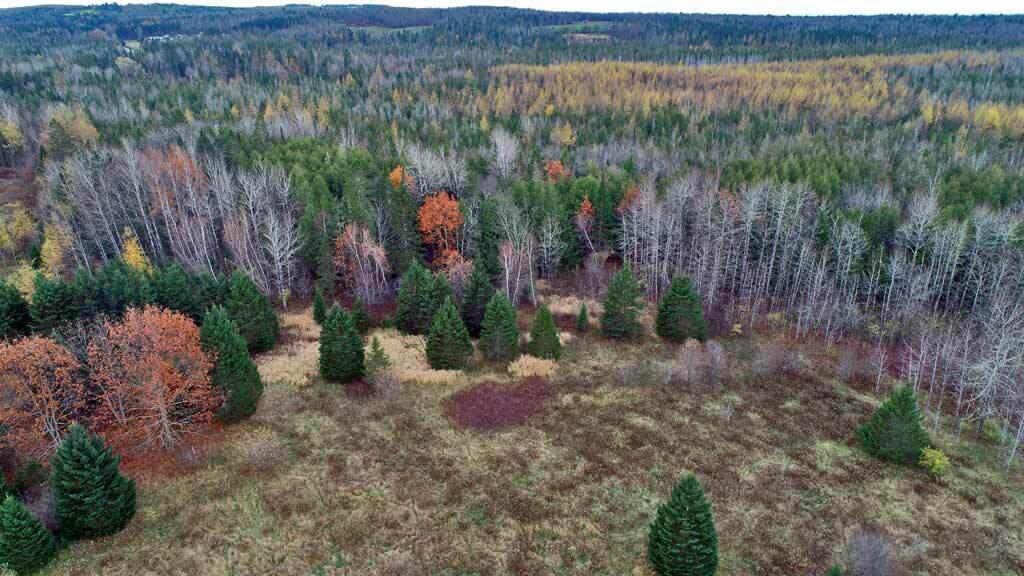 Lot 18 U.S. Rte 2 Newport, ME 04953 - Photo 19 of 62 new-land-listings-maine-far