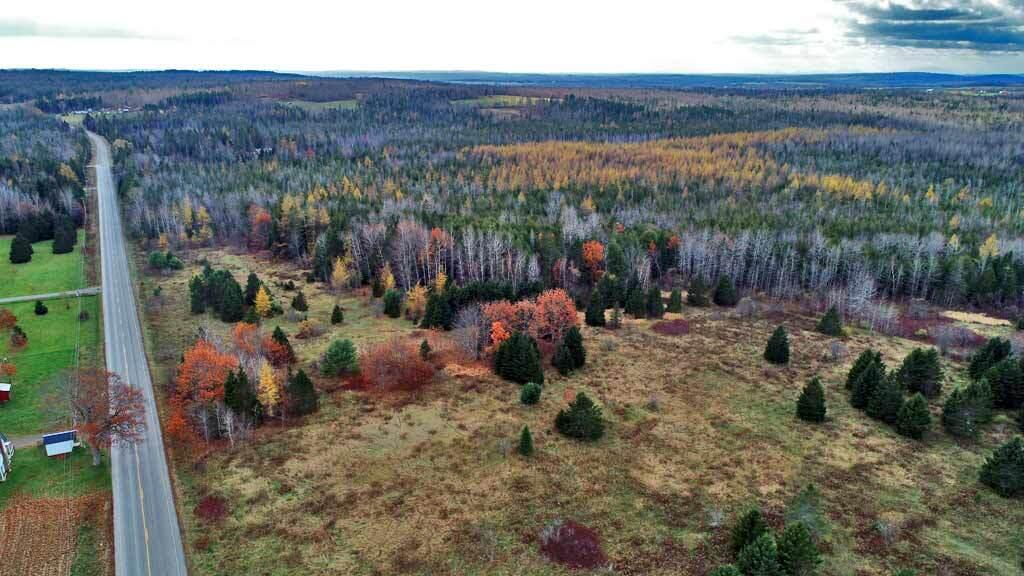 Lot 18 U.S. Rte 2 Newport, ME 04953 - Photo 28 of 62 maine-abandoned-farm-land