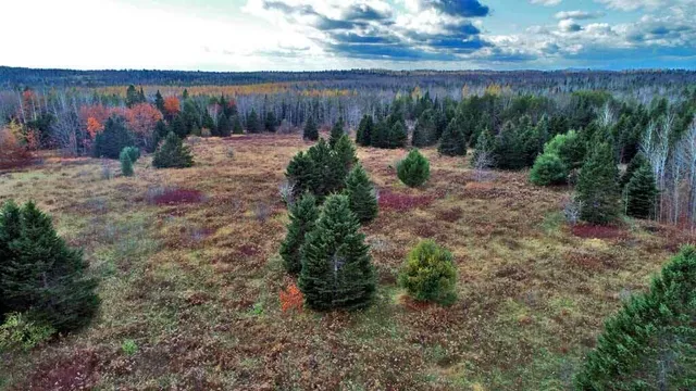 $66,900 | Lot 18 U.S. Rte 2, Newport, ME 04953