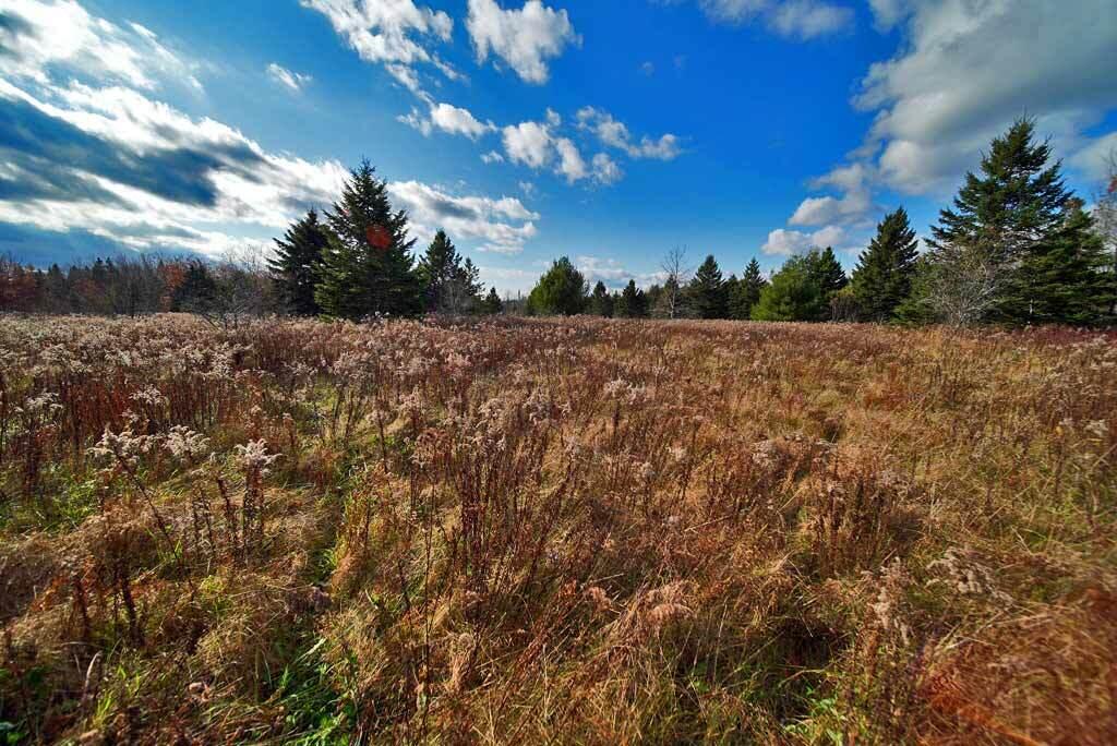 Lot 18 U.S. Rte 2 Newport, ME 04953 - Photo 33 of 62 homesteading-maine-land