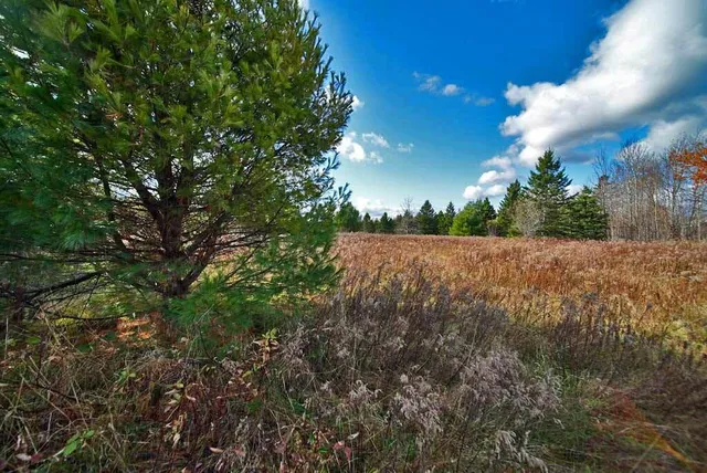 $66,900 | Lot 18 U.S. Rte 2, Newport, ME 04953