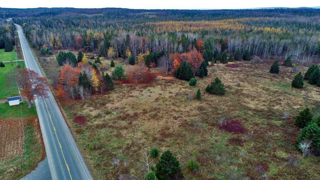 Lot 18 U.S. Rte 2 Newport, ME 04953 - Photo 37 of 62 farm-land-northern-me-woods