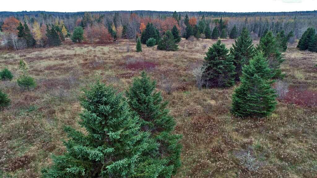 Lot 18 U.S. Rte 2 Newport, ME 04953 - Photo 38 of 62 farm-land-maine-aroostook