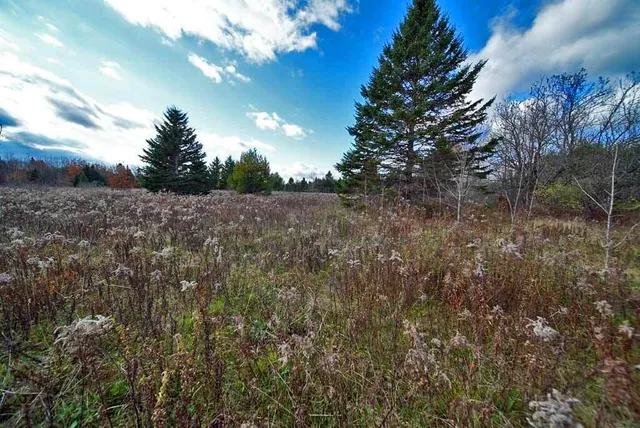$66,900 | Lot 18 U.S. Rte 2, Newport, ME 04953