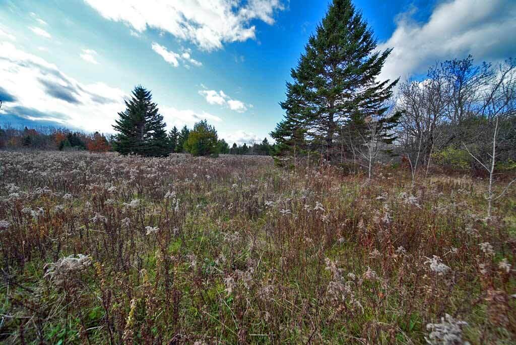 Lot 18 U.S. Rte 2 Newport, ME 04953 - Photo 40 of 62 land-northern-me-farm-field