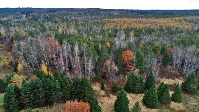 $66,900 | Lot 18 U.S. Rte 2, Newport, ME 04953