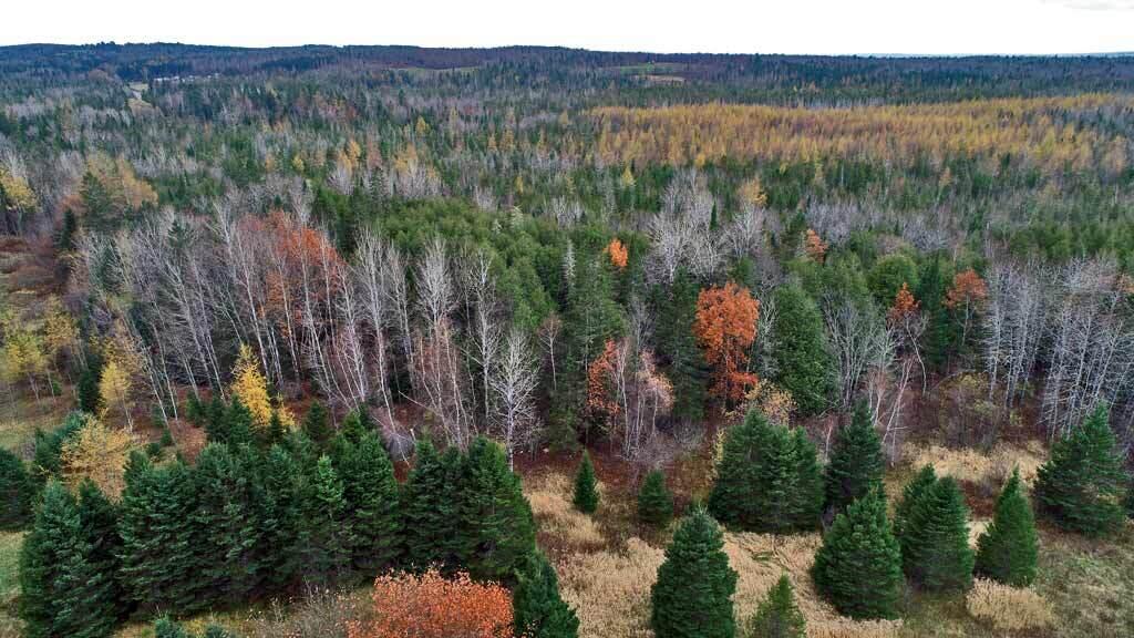 Lot 18 U.S. Rte 2 Newport, ME 04953 - Photo 4 of 62 land-in-maine-aroostook