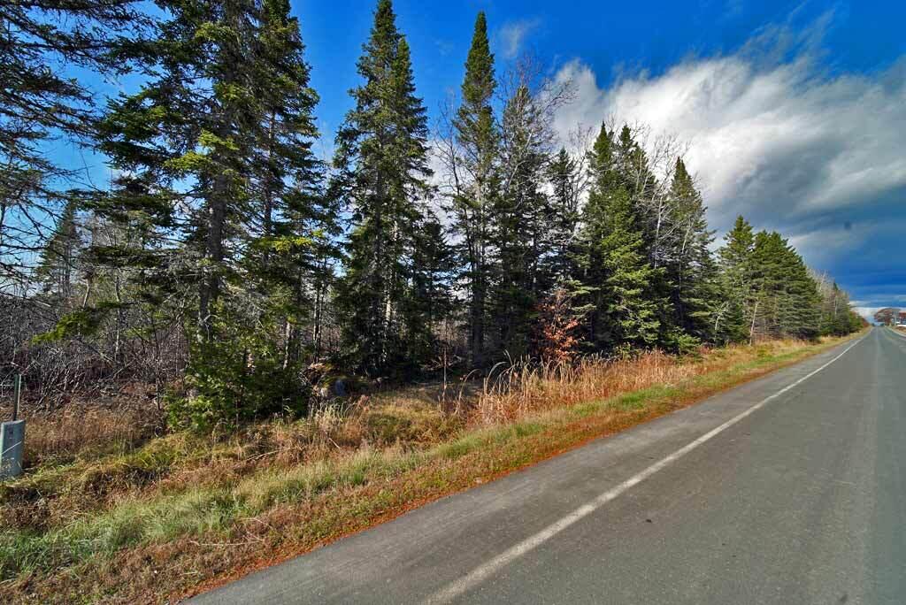 Lot 18 U.S. Rte 2 Newport, ME 04953 - Photo 42 of 62 maine-land-woods-frontage