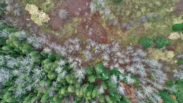 $66,900 | Lot 18 U.S. Rte 2, Newport, ME 04953