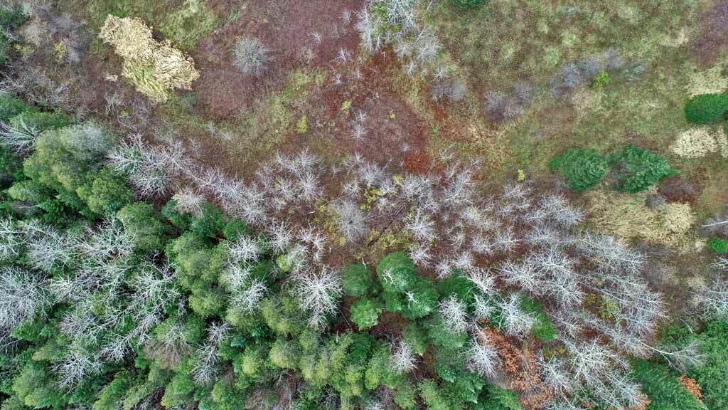 Lot 18 U.S. Rte 2 Newport, ME 04953 - Photo 5 of 62 land-me-aroostook-county