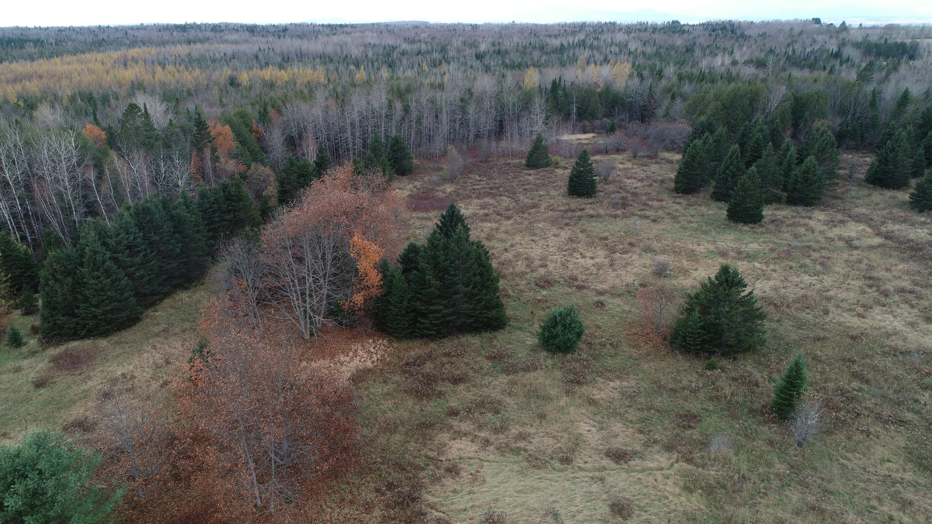 Lot 18 U.S. Rte 2 Newport, ME 04953 - Photo 51 of 62 DJI_0610