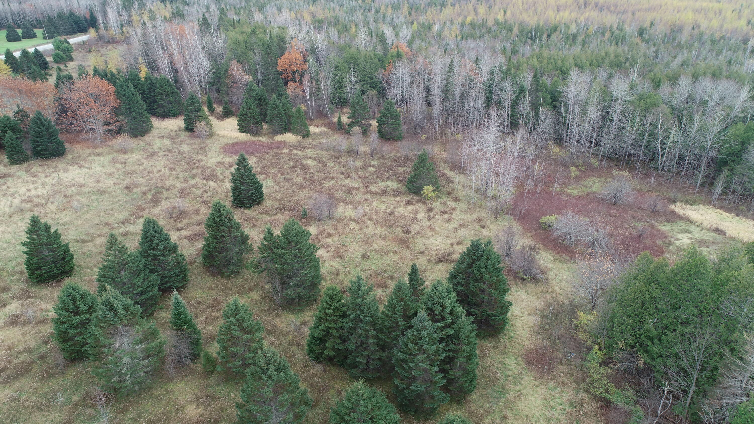 Lot 18 U.S. Rte 2 Newport, ME 04953 - Photo 53 of 62 DJI_0600