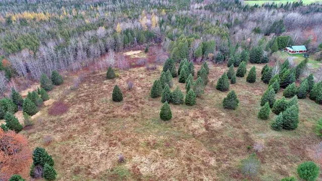 $66,900 | Lot 18 U.S. Rte 2, Newport, ME 04953